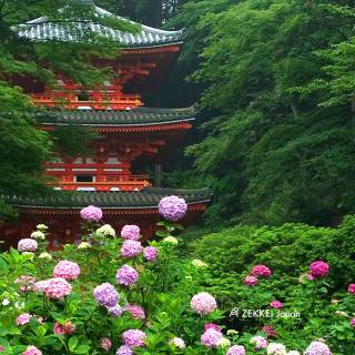Japanese landscape phone wallpaper