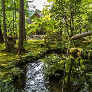 Japanese landscape phone wallpaper