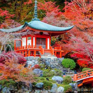 Japanese landscape phone wallpaper