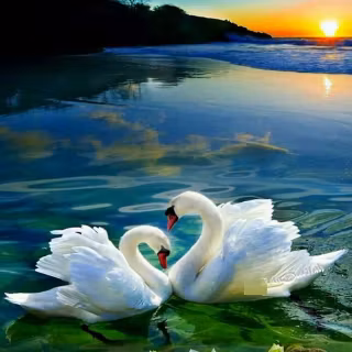 Swan phone wallpaper