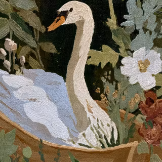 Swan phone wallpaper