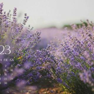 Lavender collage PC wallpaper