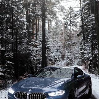 BMW M4 snow forest mobile wallpaper