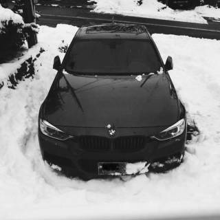 BMW M4 snow forest mobile wallpaper
