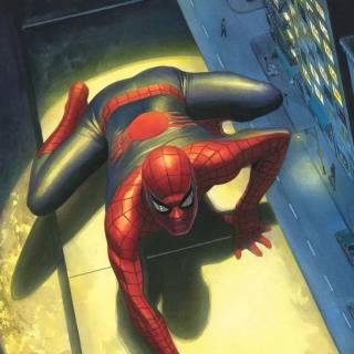 Spectacular Spider-Man Peter Parker wallpaper