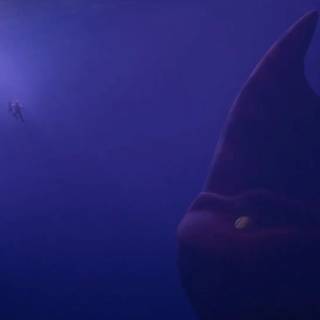 The Red Bluster wallpaper