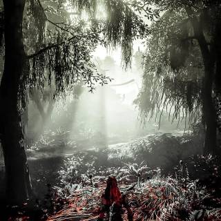 Dark forest PS4 wallpaper