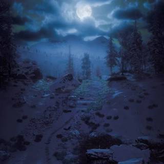 Dark forest PS4 wallpaper