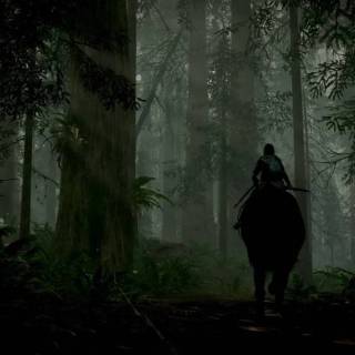 Dark forest PS4 wallpaper