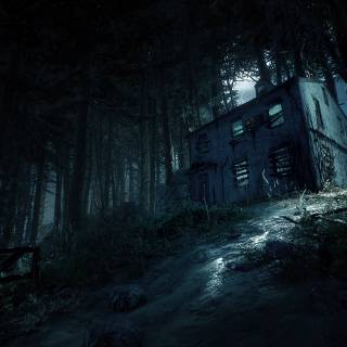 Dark forest PS4 wallpaper