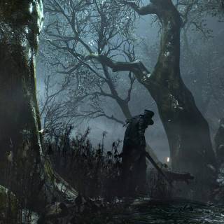 Dark forest PS4 wallpaper