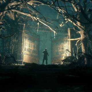 Dark forest PS4 wallpaper