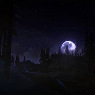 Dark forest PS4 wallpaper