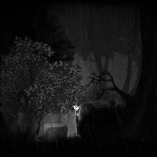 Dark forest PS4 wallpaper
