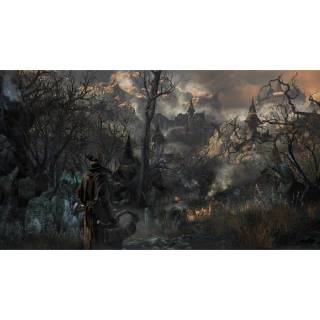 Dark forest PS4 wallpaper
