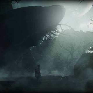 Dark forest PS4 wallpaper