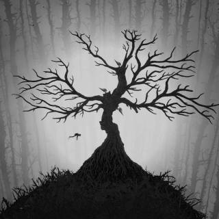 Dark forest PS4 wallpaper