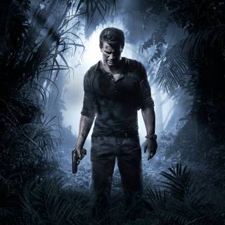 Dark forest PS4 wallpaper