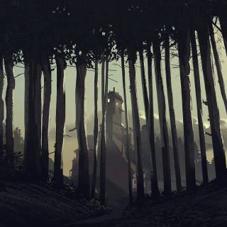 Dark forest PS4 wallpaper