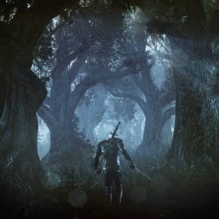 Dark forest PS4 wallpaper