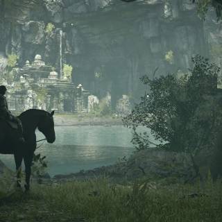 Dark forest PS4 wallpaper