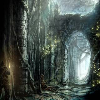 Dark forest PS4 wallpaper