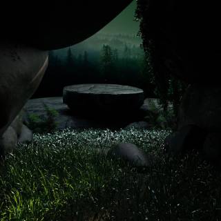 Dark forest PS4 wallpaper