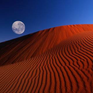 Full moon over red dunes wallpaper