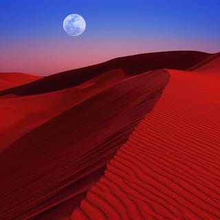 Full moon over red dunes wallpaper