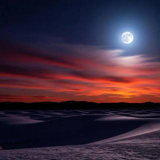 Full moon over red dunes wallpaper