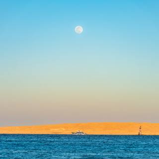 Full moon over red dunes wallpaper