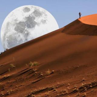 Full moon over red dunes wallpaper