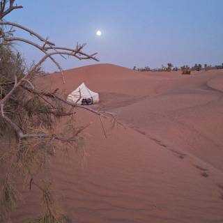 Full moon over red dunes wallpaper