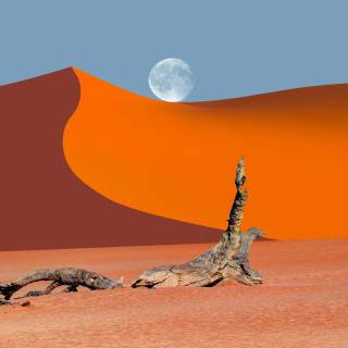 Full moon over red dunes wallpaper