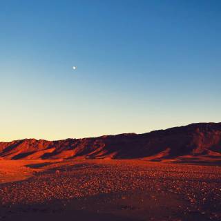 Full moon over red dunes wallpaper