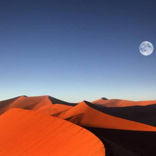 Full moon over red dunes wallpaper
