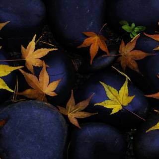 Karesansui wallpaper