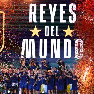 Spain celebration World Cup wallpaper