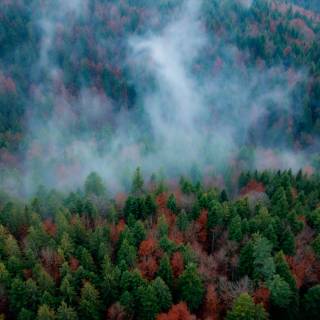 Beautiful misty view wallpaper