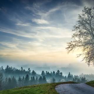 Beautiful misty view wallpaper