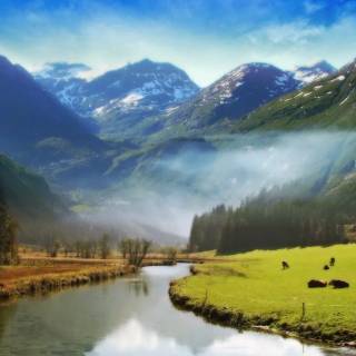 Beautiful misty view wallpaper