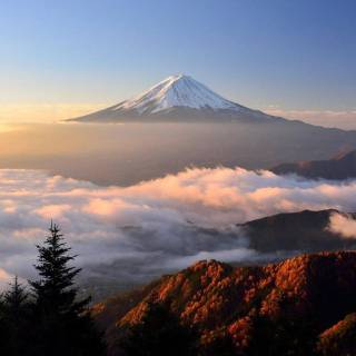 Beautiful misty view wallpaper