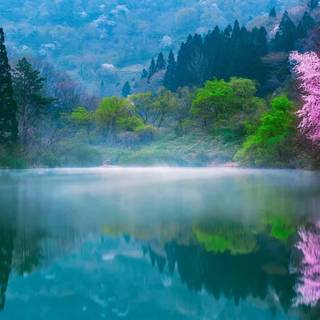 Beautiful misty view wallpaper