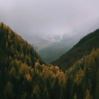 Beautiful misty view wallpaper