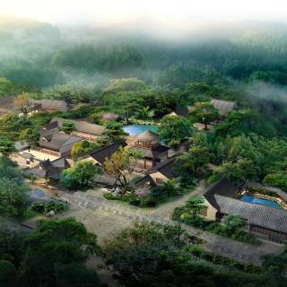 Beautiful misty view wallpaper