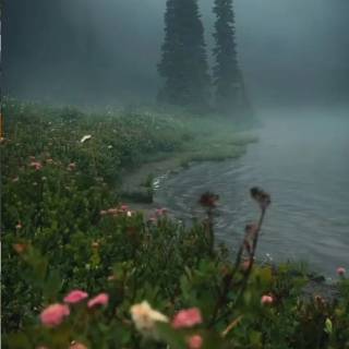 Beautiful misty view wallpaper