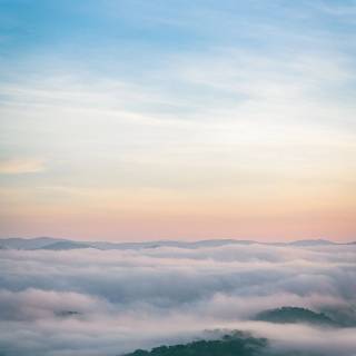 Beautiful misty view wallpaper