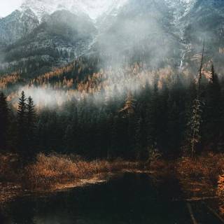 Beautiful misty view wallpaper