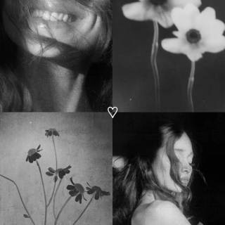 Ariana Grande Petal wallpaper