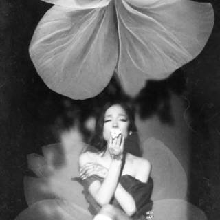 Ariana Grande Petal wallpaper